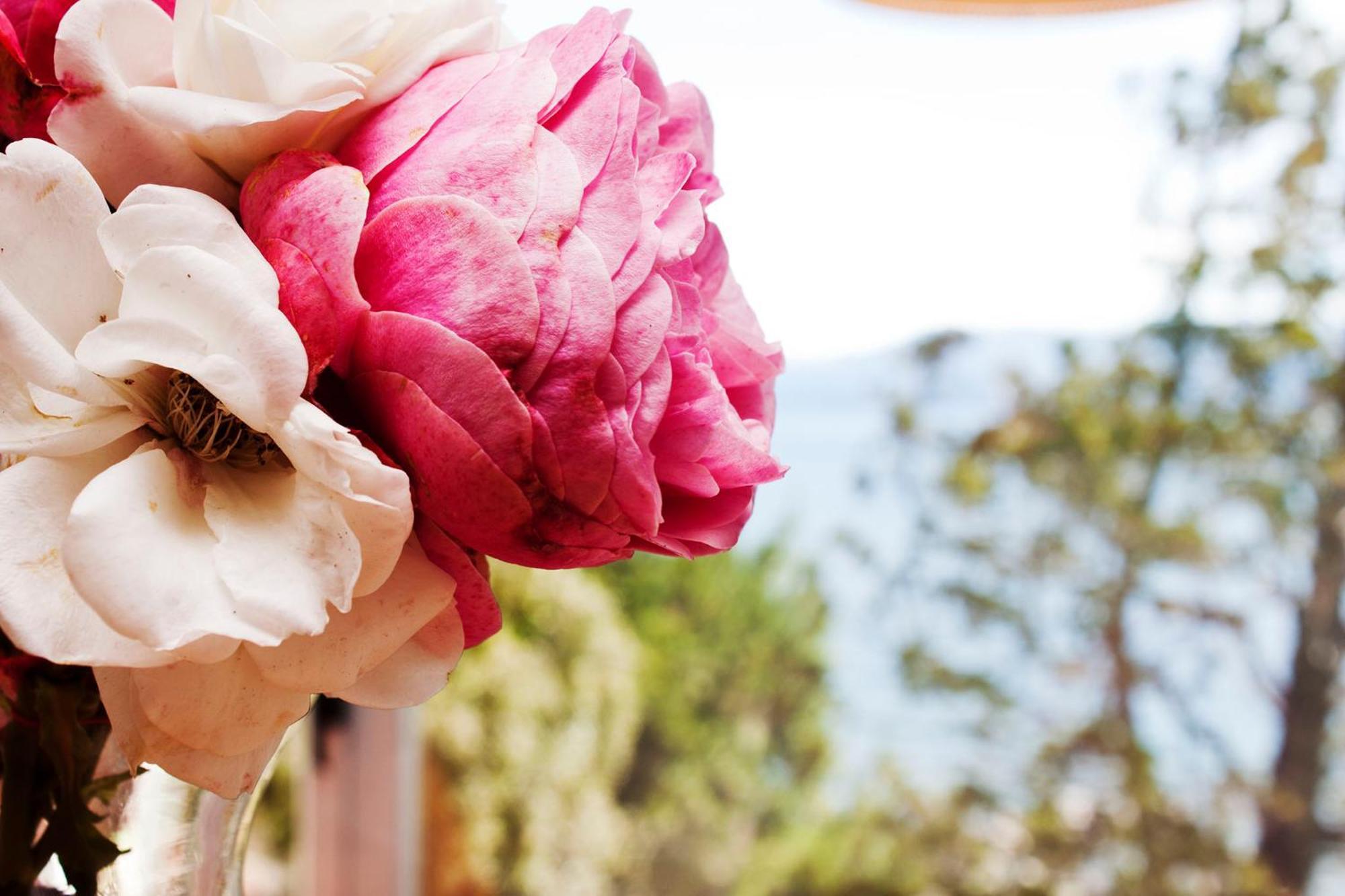 Sol Del Nahuel - Hotel & Spa ซานคาร์ลอส เด บาริโลเช ห้อง รูปภาพ